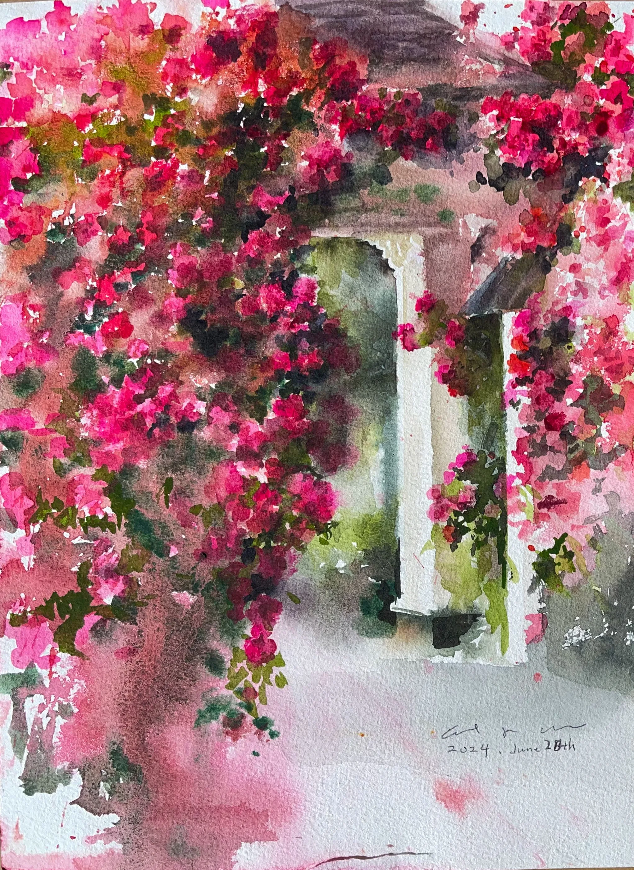 Watercolour of bright pink and red bougainvillea draped over a white columned archway and terrace.